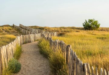 Activités en famille à La Tranche-sur-Mer | Camping Le Bellevue