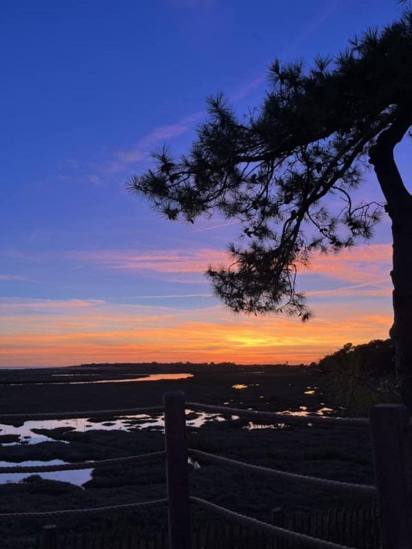 Où Voir le Coucher de Soleil à la Tranche-sur-Mer ?